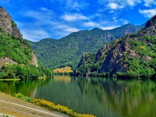 שירותי סיוע תיירים