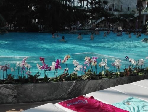 שירותי סיוע תיירים